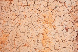 Menopause and preserving essence in Chinese medicine menopause
