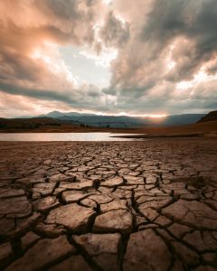 dry earth
all moisture dried up,
earth is cracked and lacks nourishment