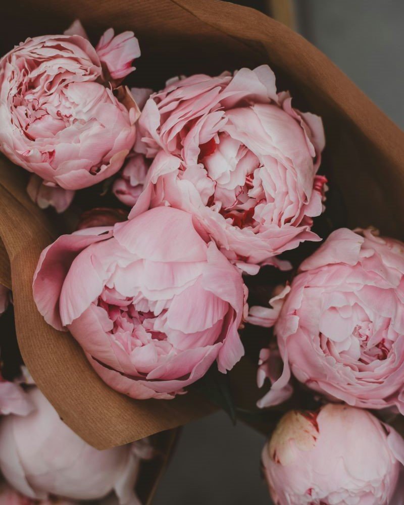 Peony